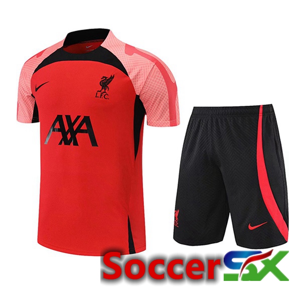 FC Liverpool Training T Shirt + Shorts Red 2022/2023