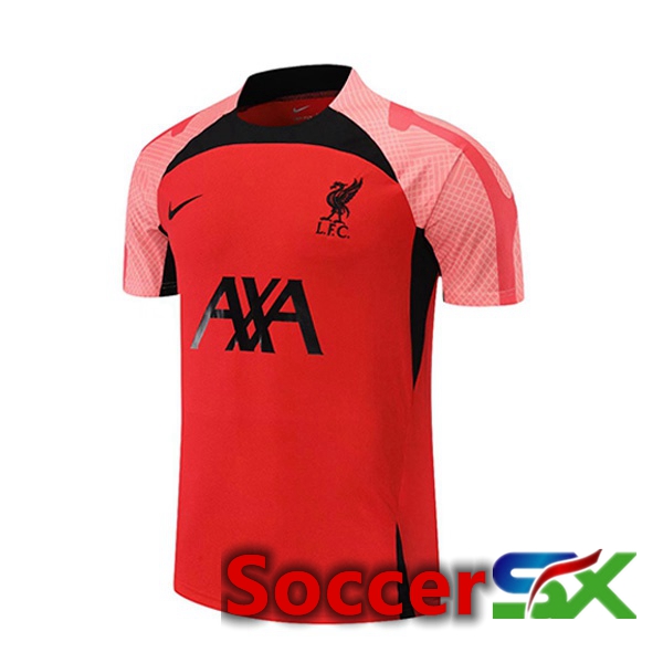 FC Liverpool Training T Shirt Red 2022/2023