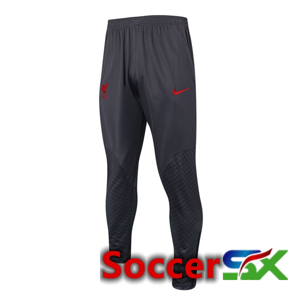 FC Liverpool Training Pants Brown 2022/2023
